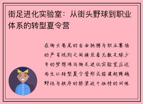 街足进化实验室：从街头野球到职业体系的转型夏令营